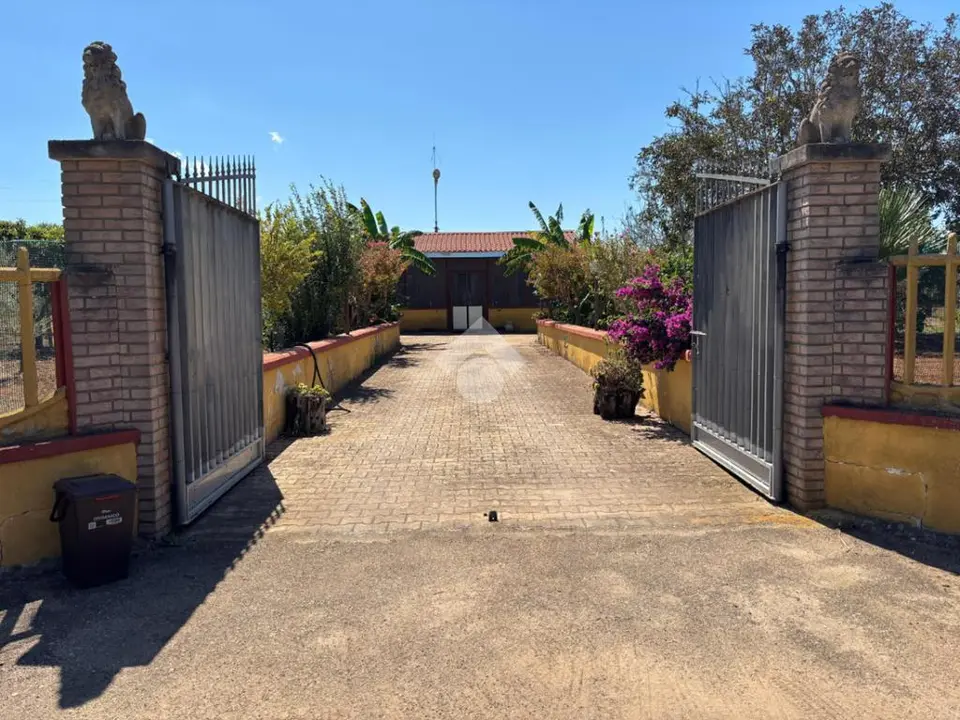 Villa singola in vendita a Alezio