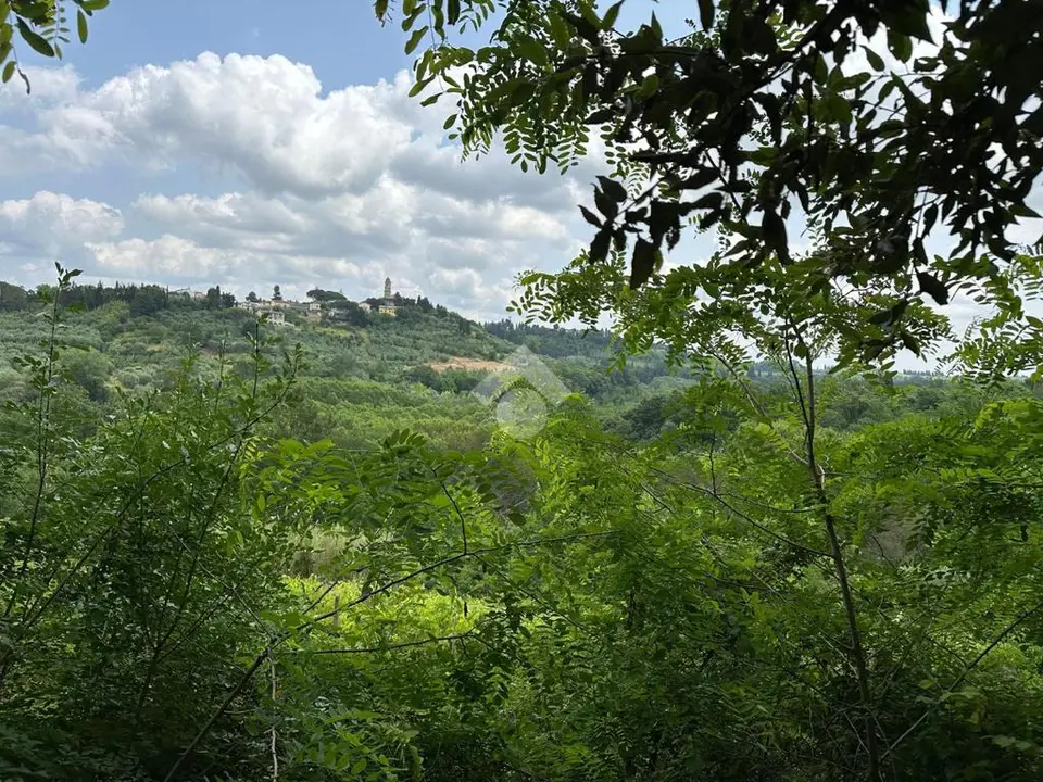 Ter. agricolo in vendita a Terricciola