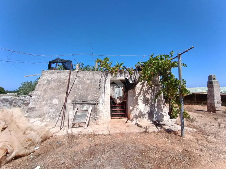 Ter. agricolo in vendita a Polignano A Mare