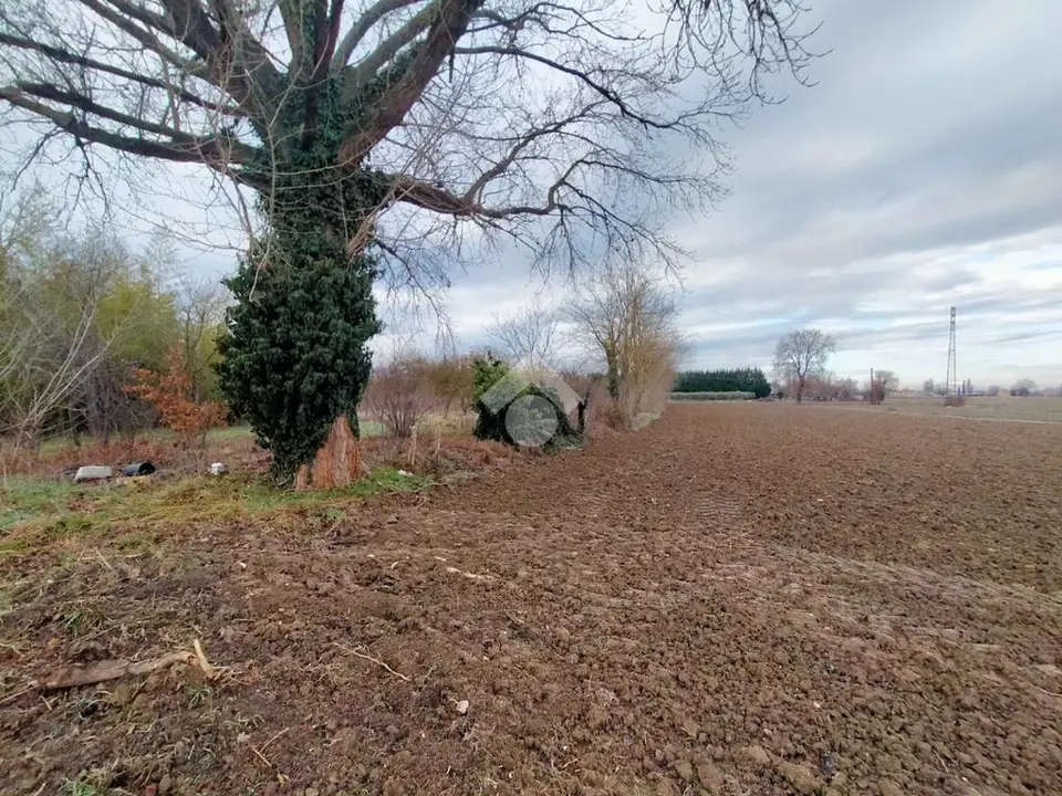 Ter. agricolo in vendita a Foligno