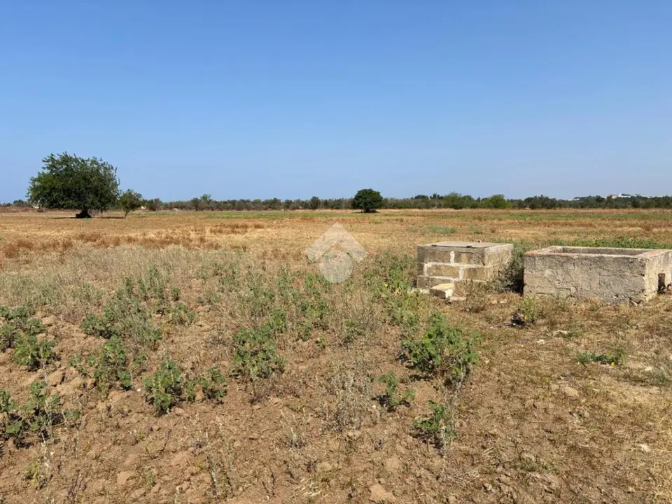Ter. agricolo in vendita a Alezio