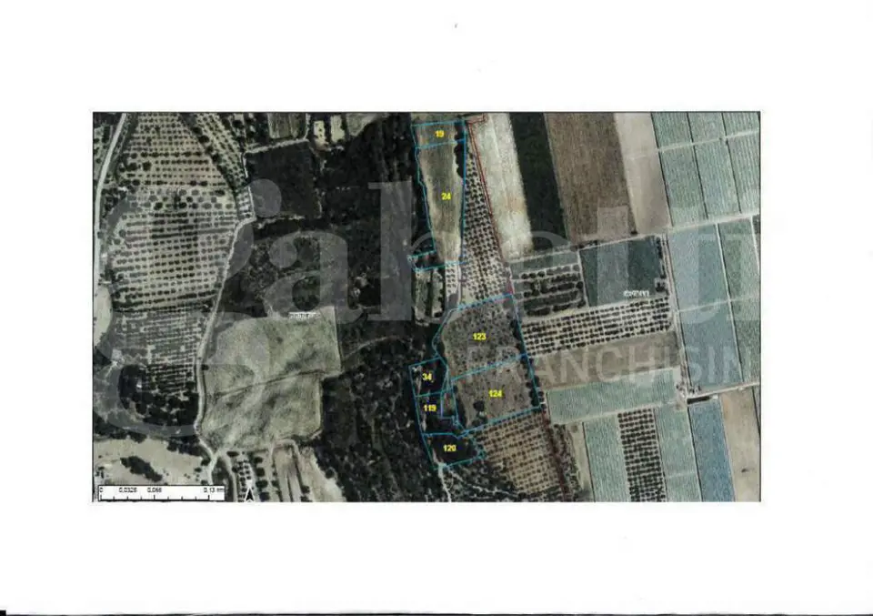 Terreno in CONTRADA PARETONE 1, Montemesola (TA)