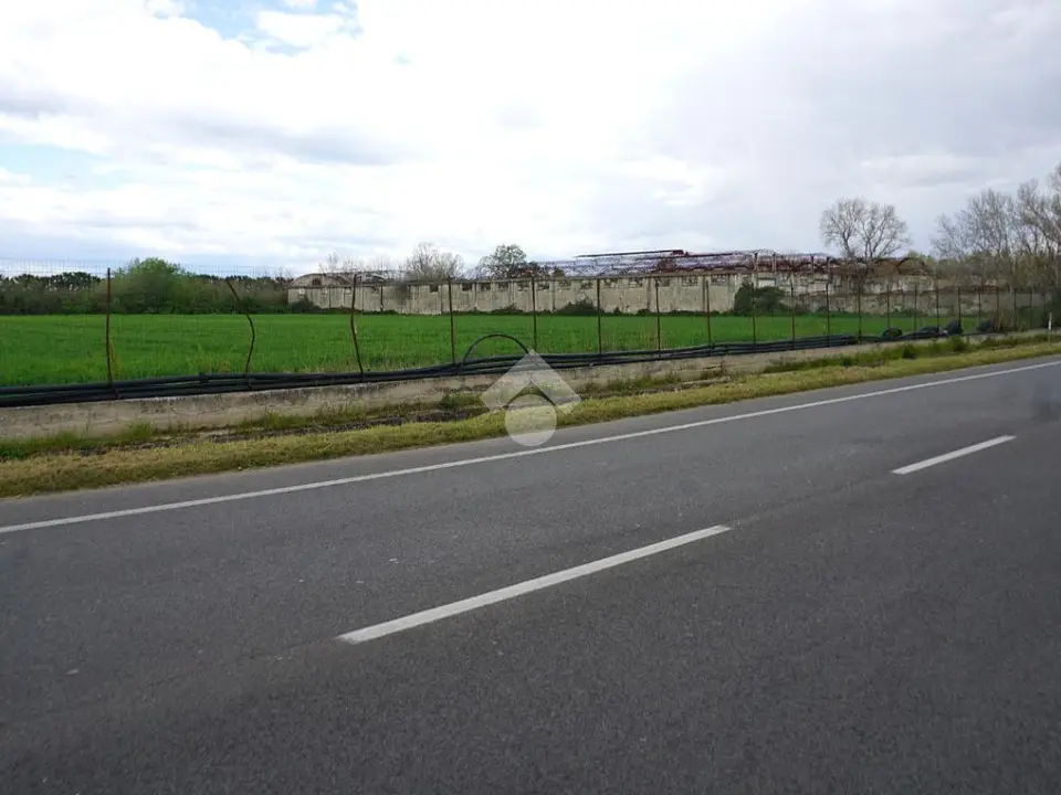 Ter. agricolo in vendita a Eboli