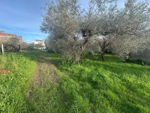 Terreno in contrada case anna SNC, Pace del Mela (ME)