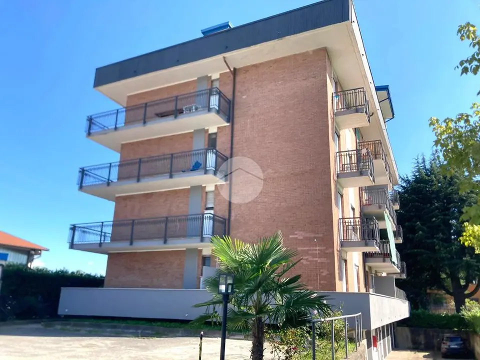Trilocale in affitto a Salassa