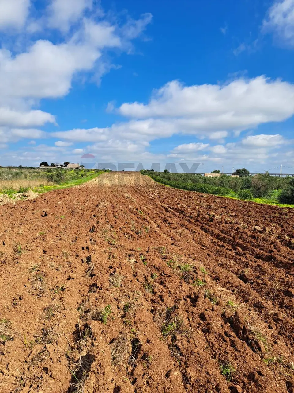 Terreno in Vendita a Mazara del Vallo