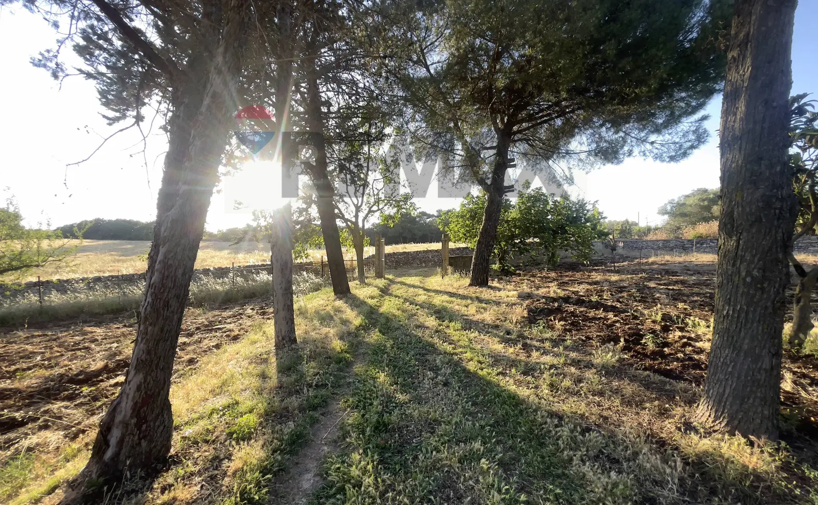 Terreno in Vendita a Santeramo in Colle