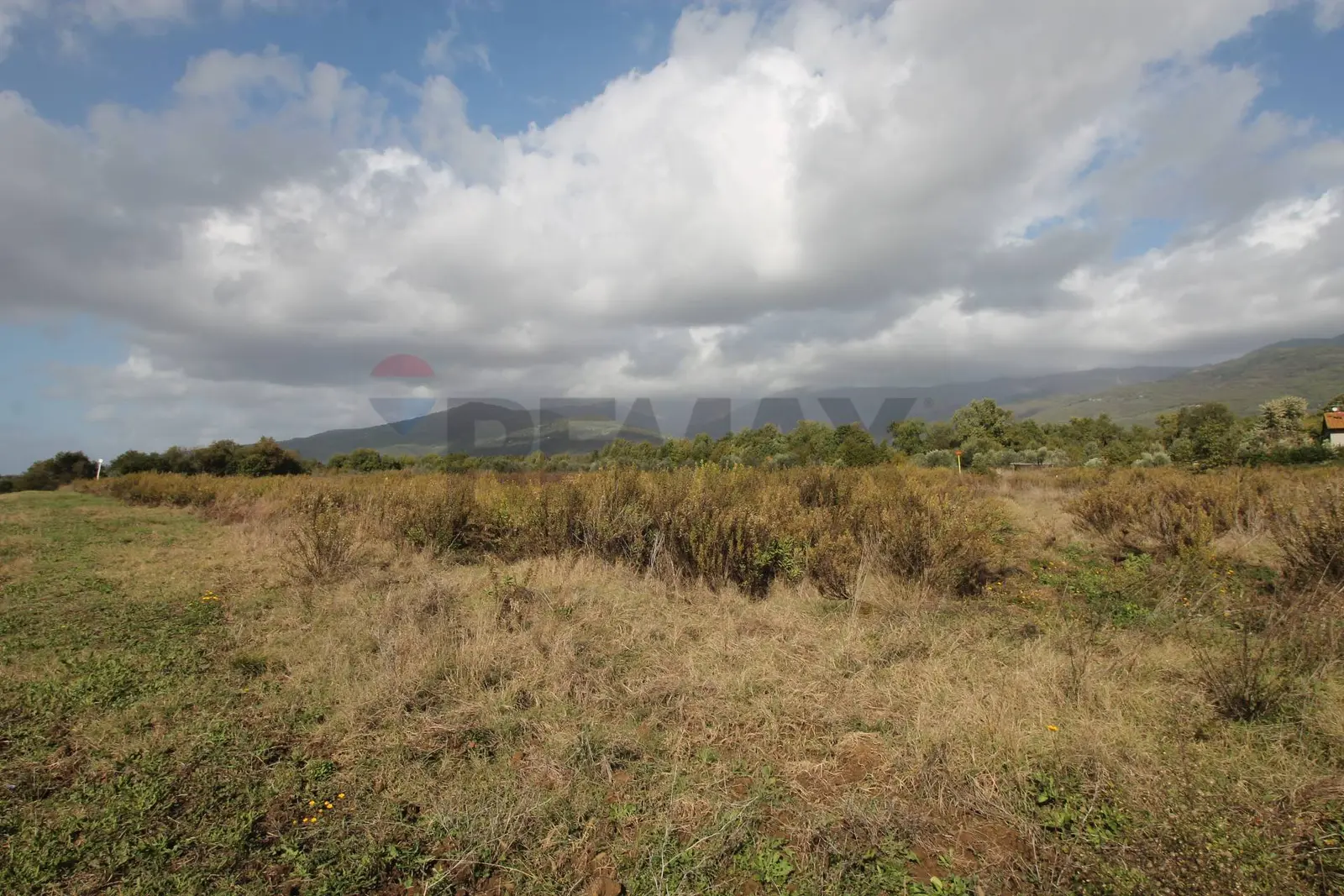 Terreno in Vendita a Terranuova Bracciolini
