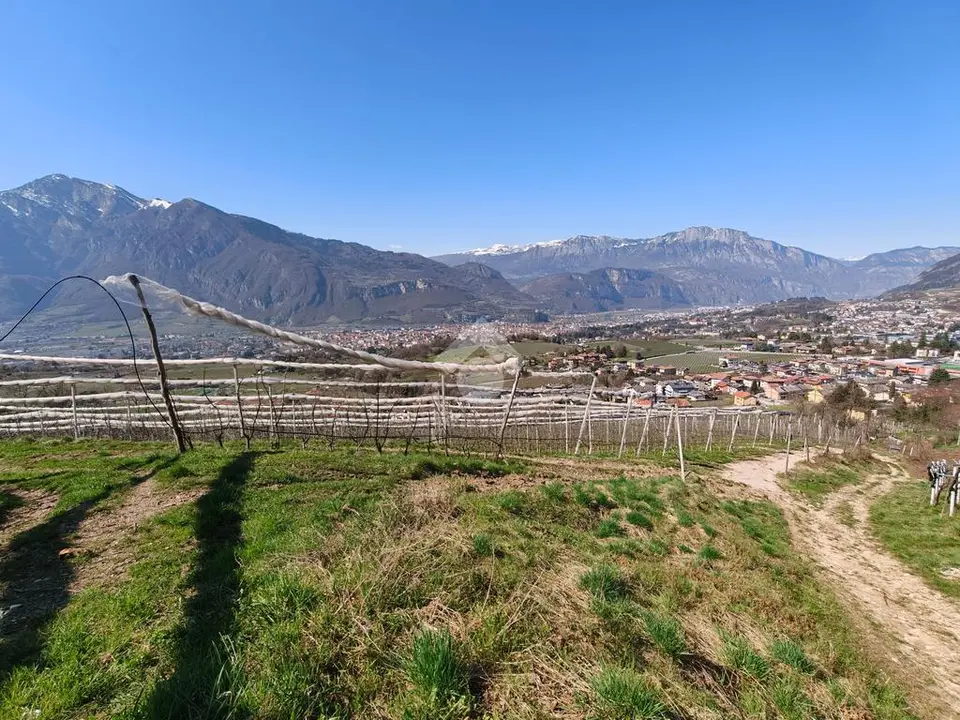 Ter. agricolo in vendita a Trento