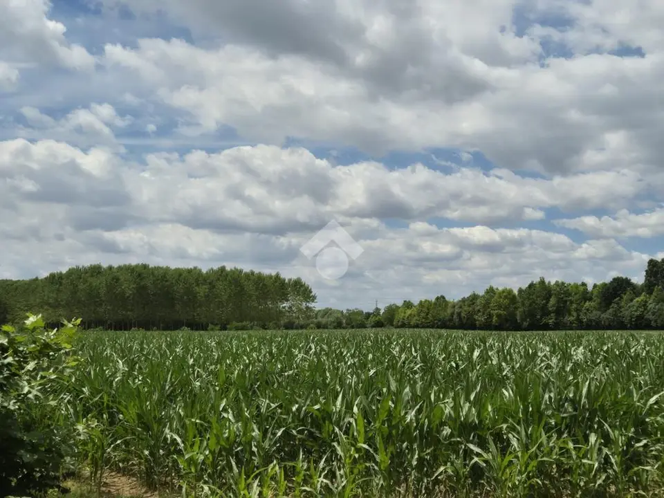 Ter. agricolo in vendita a Spinea