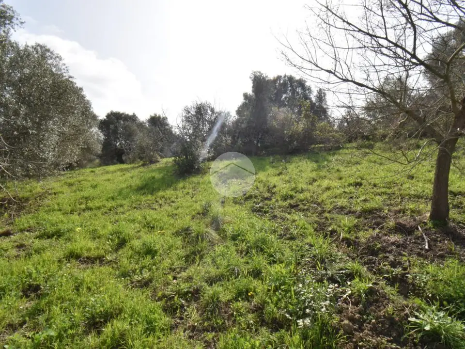 Ter. agricolo in vendita a Agropoli