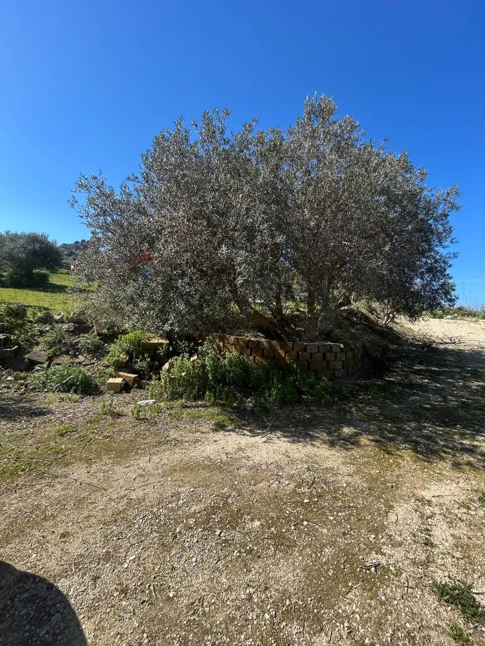 Terreno in Vendita a Caltanissetta
