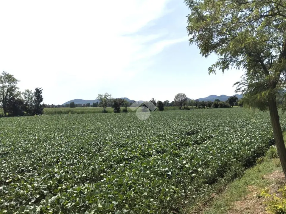 Ter. agricolo in vendita a Rovolon