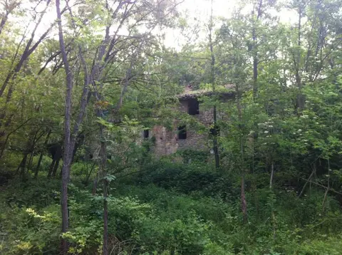 Rustico in Vendita a Pellegrino Parmense