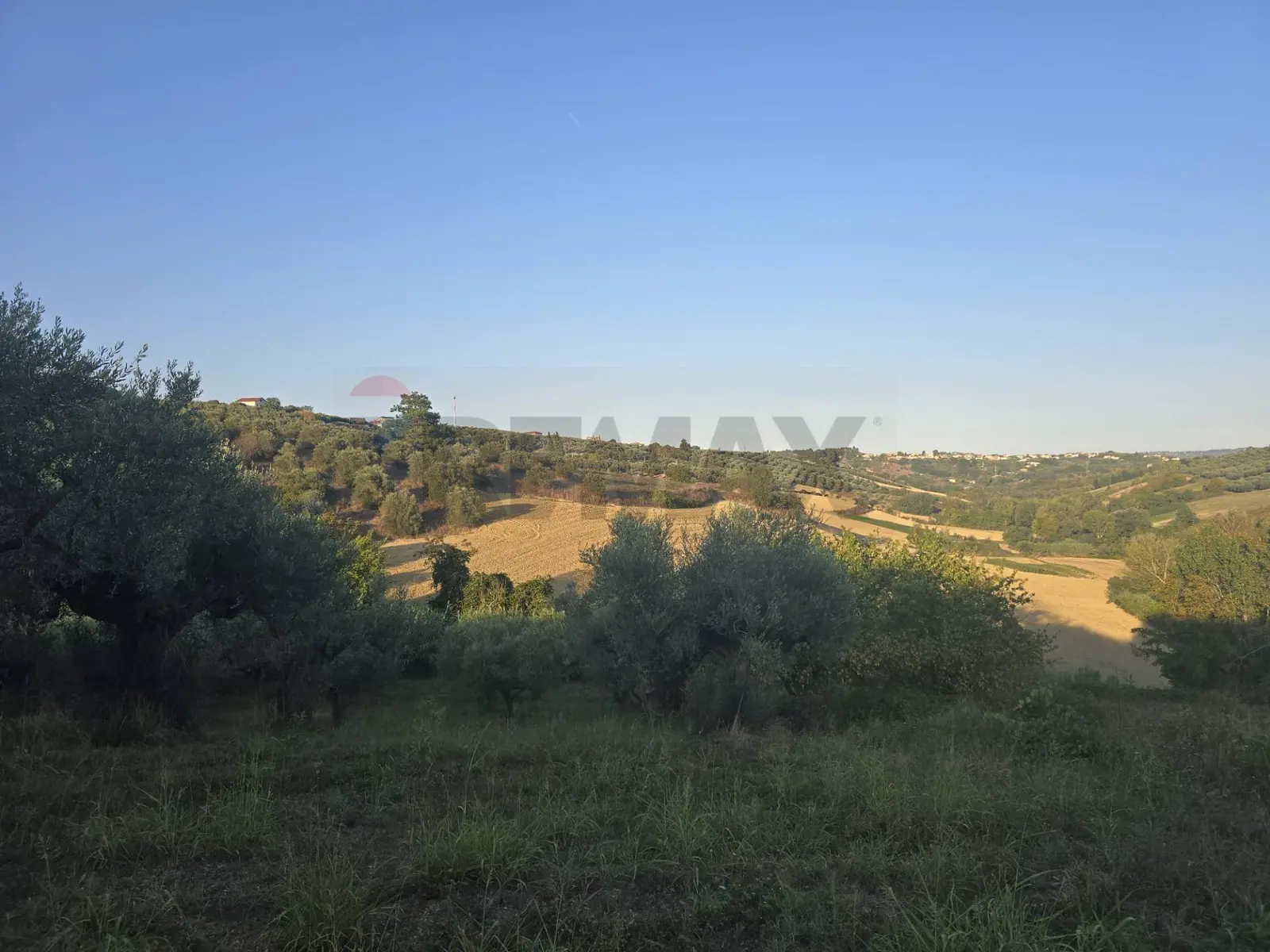 Terreno in Vendita a Moscufo