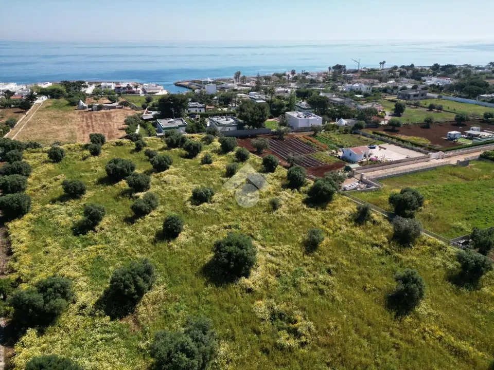 Ter. agricolo in vendita a Polignano A Mare
