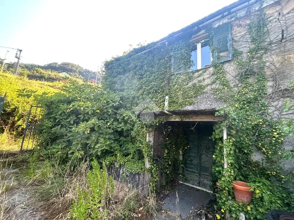 Casa indipendente in vendita a Serra Riccò