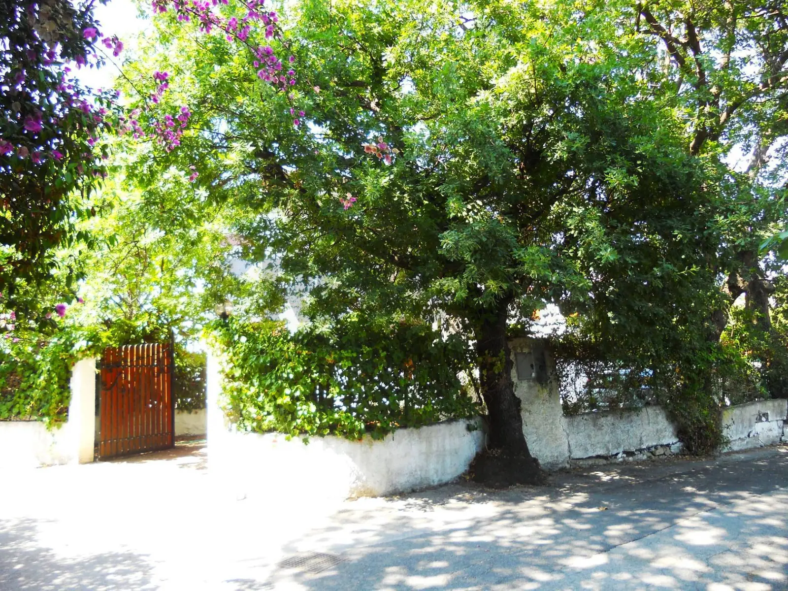 Villa o villino in Vendita a San Felice Circeo