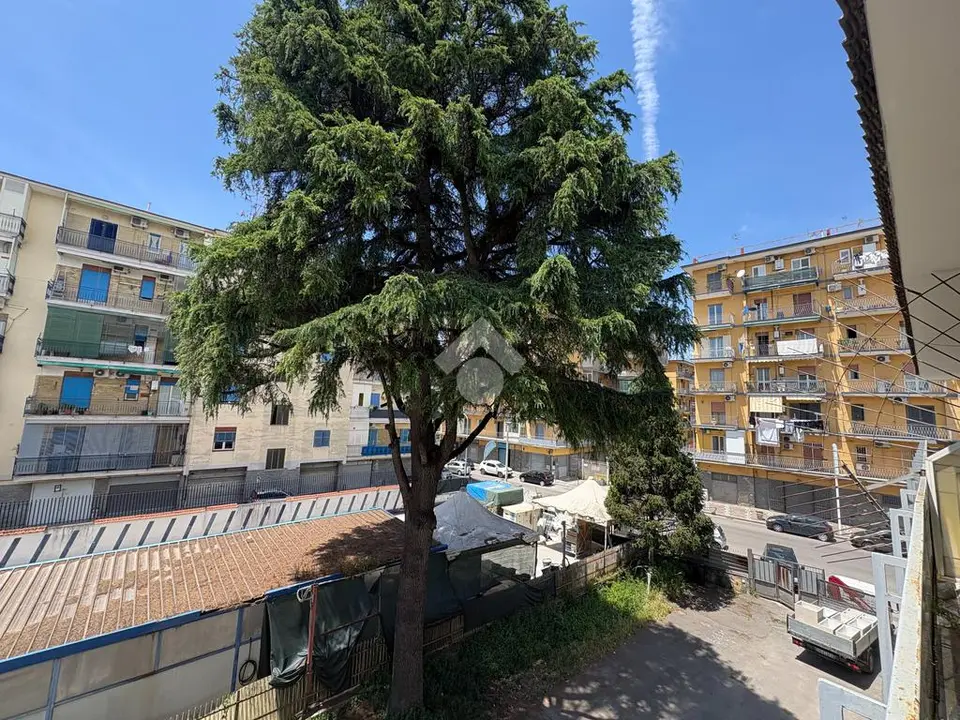 Bilocale in affitto a Arzano
