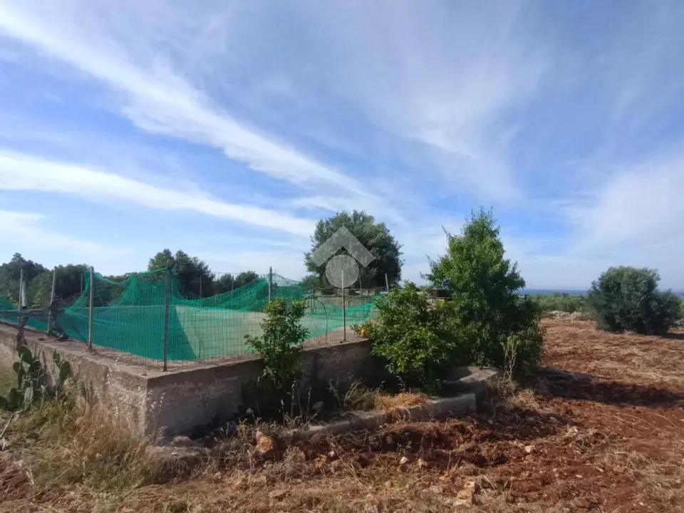 Ter. agricolo in vendita a Polignano A Mare