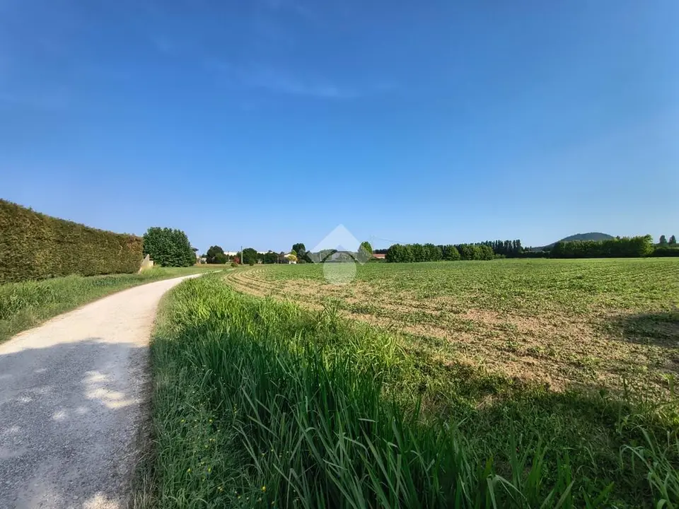 Ter. agricolo in vendita a Saccolongo