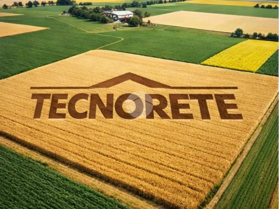 Ter. agricolo in vendita a Saonara
