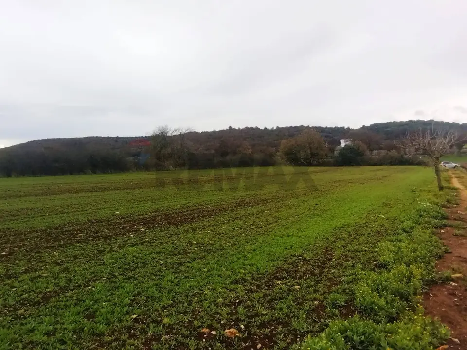 Terreno in Vendita a Monopoli
