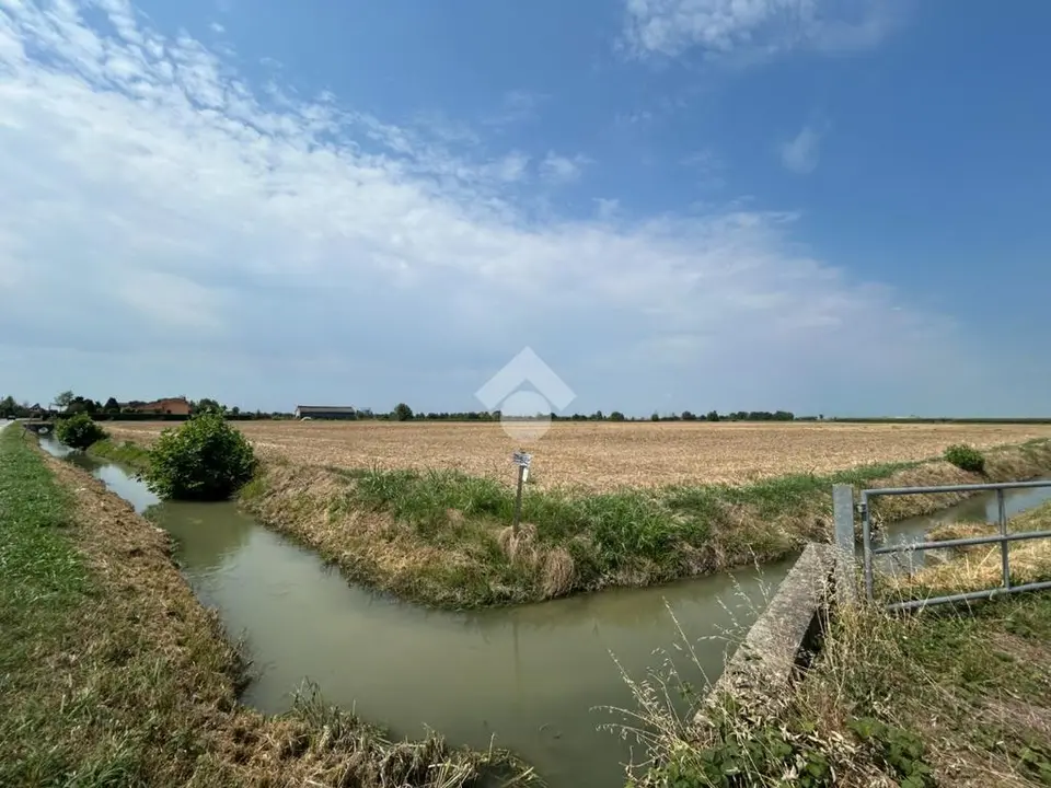 Ter. agricolo in vendita a Trevenzuolo - Roncolevà