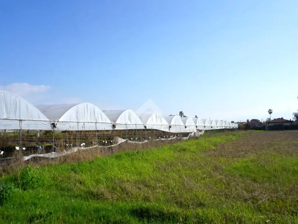 Ter. agricolo in vendita a Eboli