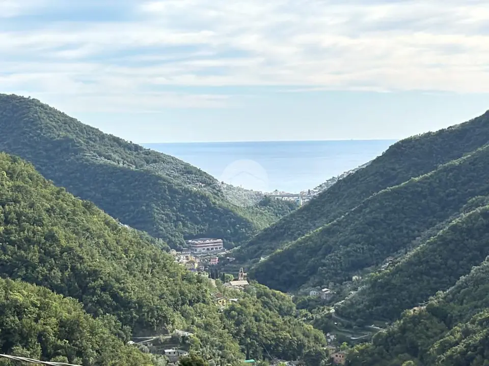 Casa semindipendente in vendita a Avegno