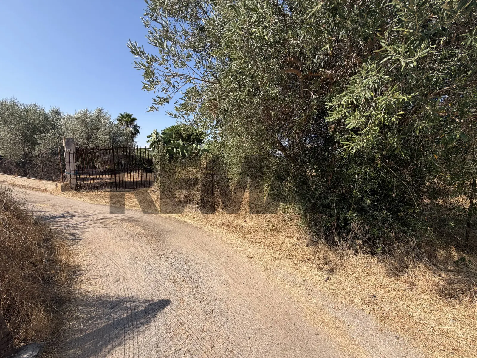Terreno in Vendita a Terrasini