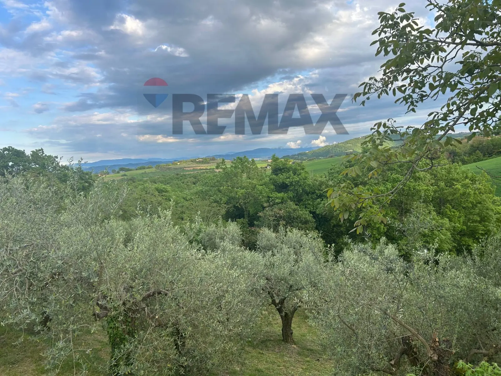 Terreno in Vendita a Marsciano