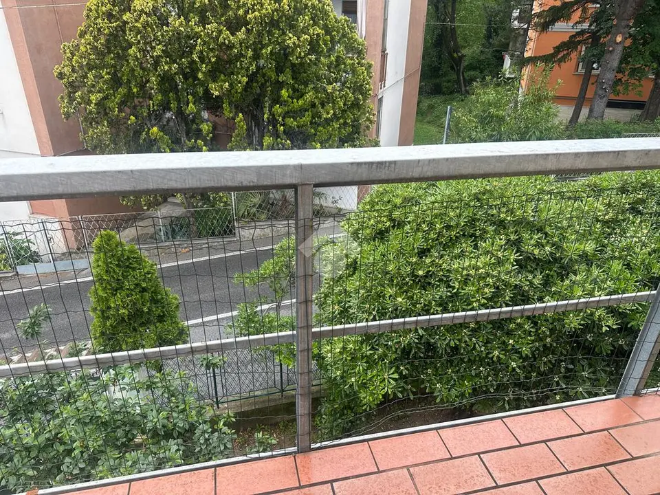 Casa indipendente in vendita a Trieste
