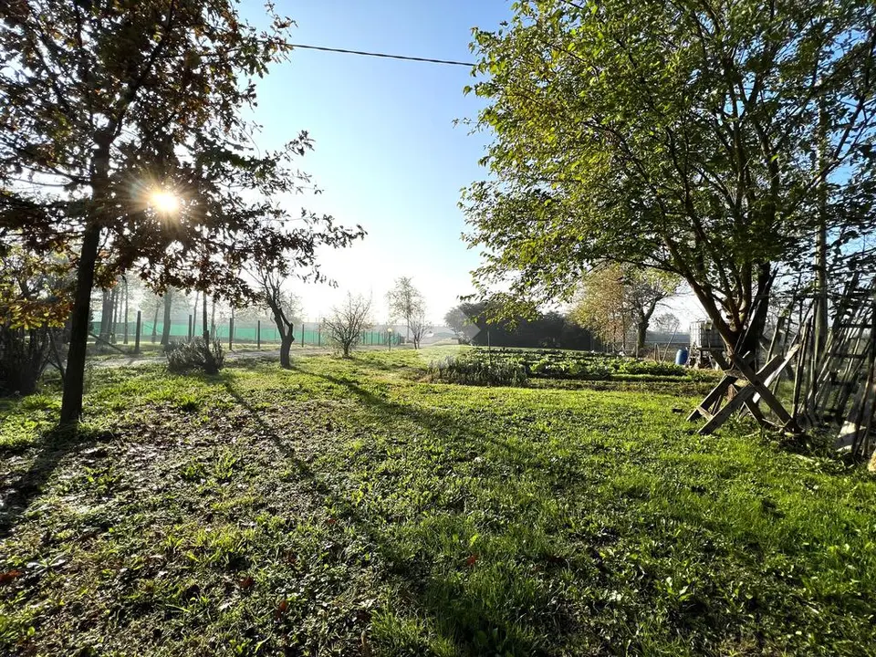 Trilocale in vendita a Vigonza
