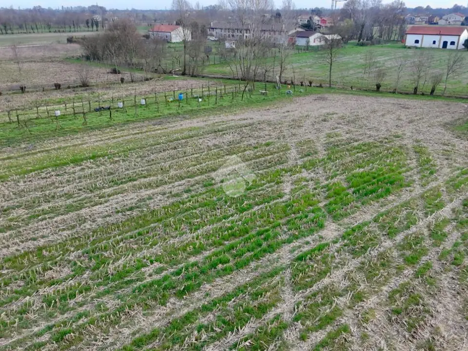 Ter. agricolo in vendita a Mirano