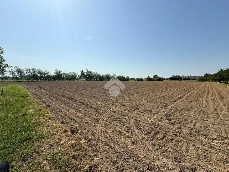 Ter. agricolo in vendita a Mirano