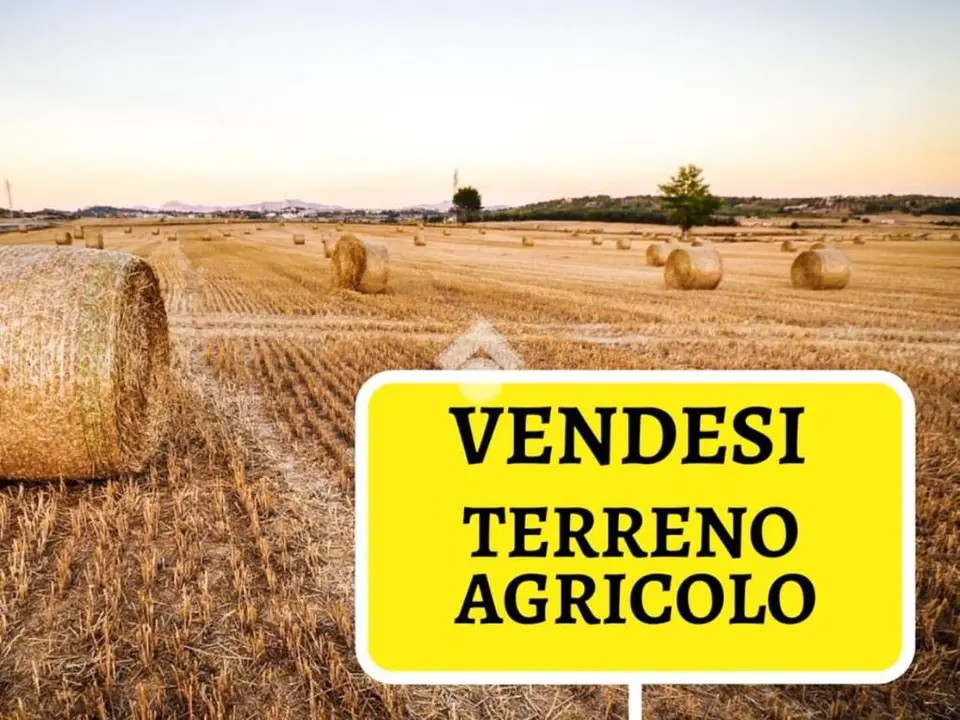 Ter. agricolo in vendita a Poirino