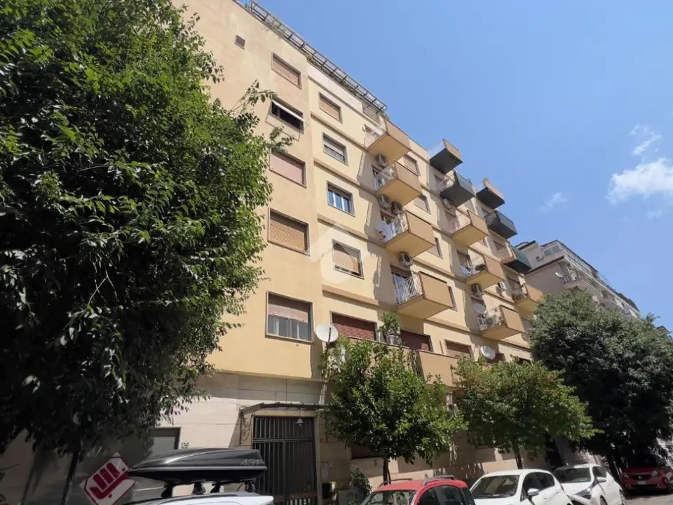 Trilocale in affitto a Palermo