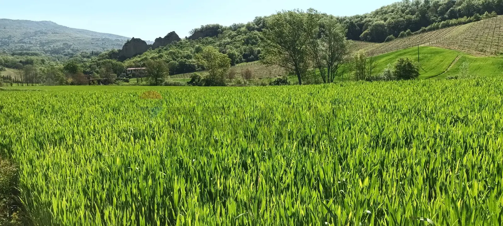 Terreno in Vendita a Castelfranco Piandiscò