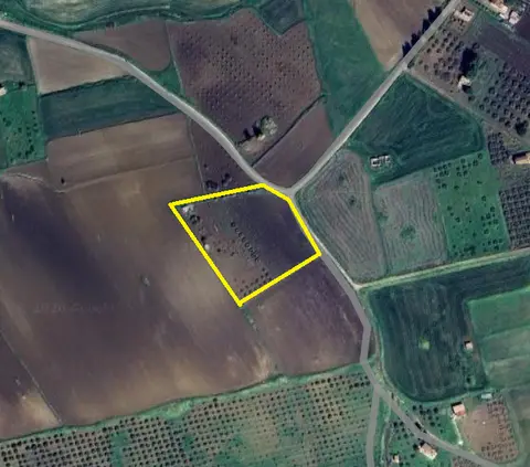 Terreno in C/da Realturco Seniazza Borsellino snc, Joppolo Giancaxio (AG)