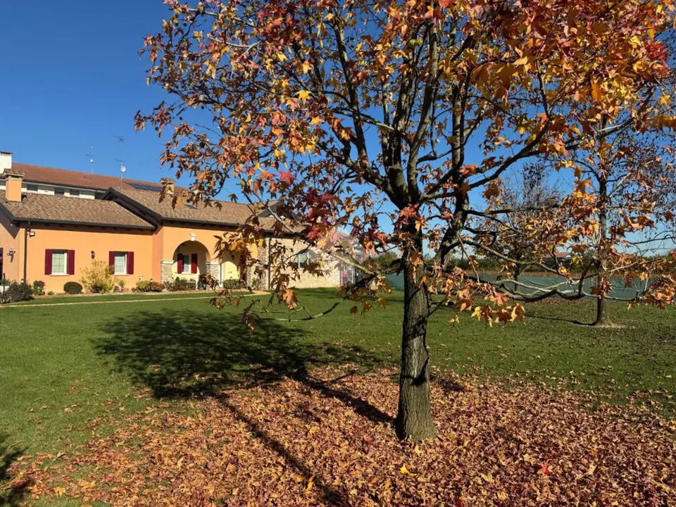 Ter. residenziale in vendita a Curtarolo