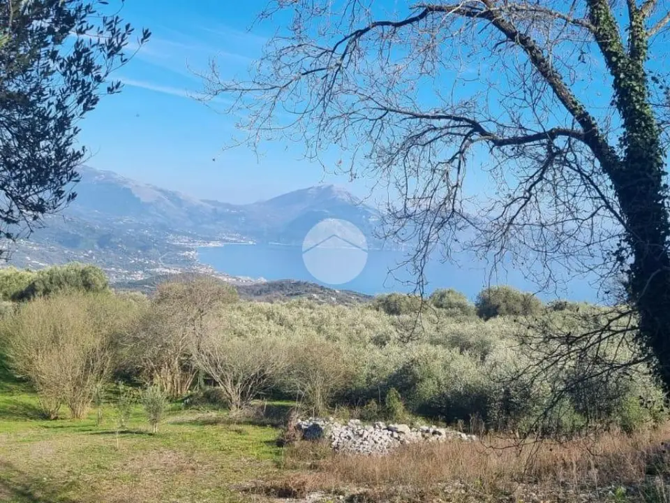 Ter. agricolo in vendita a San Giovanni A Piro