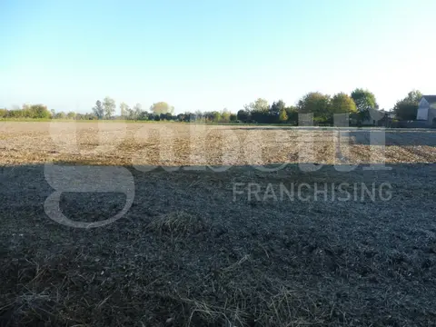 Terreno in Via Bosco, Villaverla (VI)