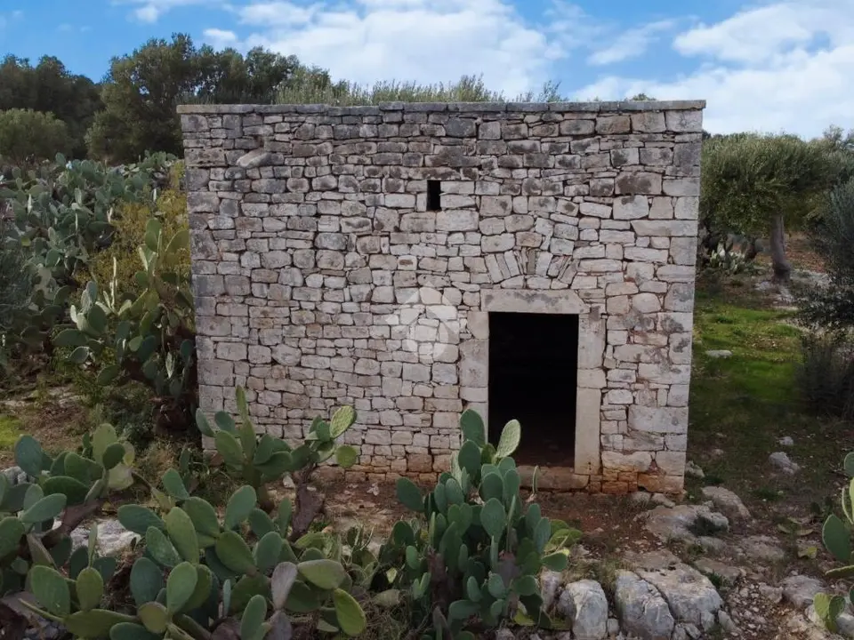Ter. agricolo in vendita a Polignano A Mare