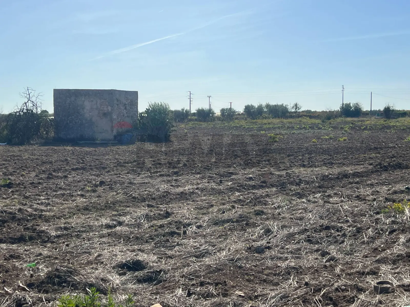 Terreno Edificabile in Vendita a Noicattaro