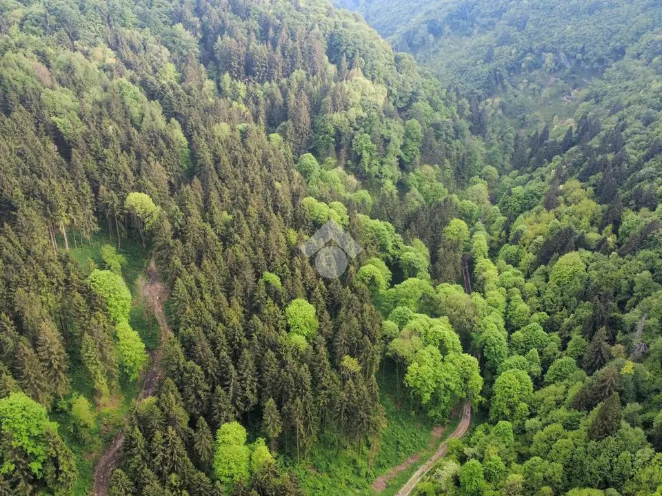 Rustico in vendita a Bosco Chiesanuova