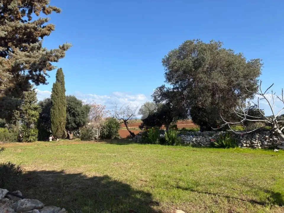 Ter. agricolo in vendita a Polignano A Mare