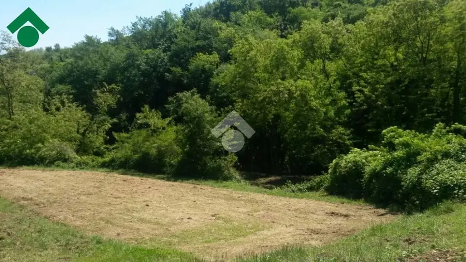 Ter. agricolo in vendita a Teolo