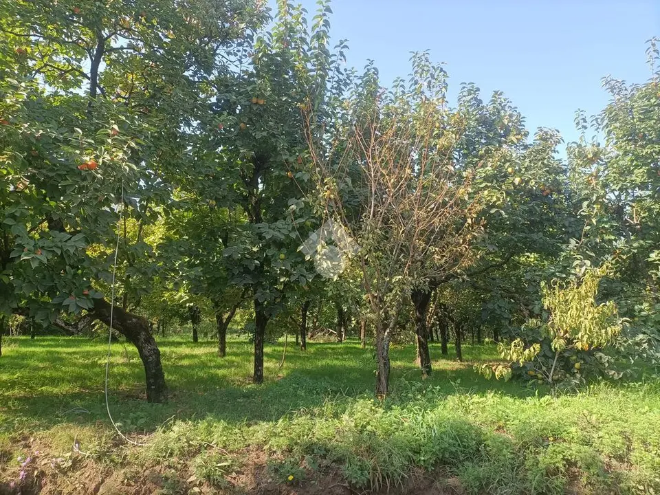 Ter. agricolo in vendita a Nocera Superiore