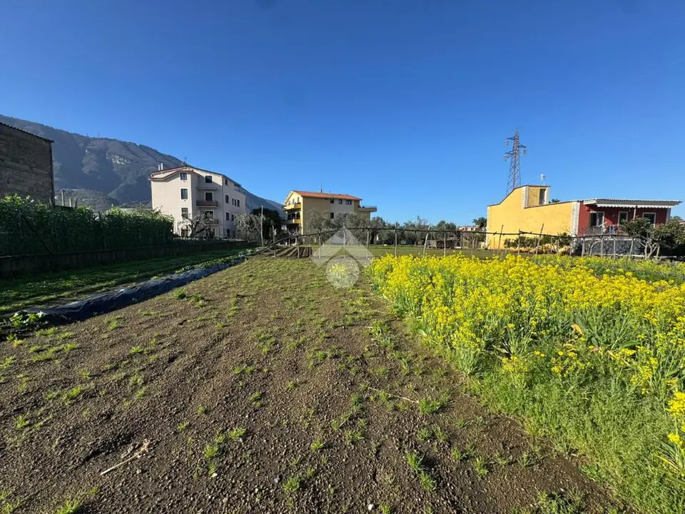 Grundstück zum Kauf in Gragnano
